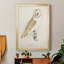 Toile encadrée de qualité supérieure Barn Owl - prête à être accrochée-1084533015-1084533014