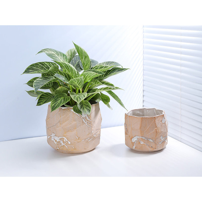 Rock Form Grower Pot By 