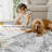 Washable Area Rug For Living, Bedroom & Dining Room,  Non-slip Backing & Durable Edge Binding, Low Pile  Vintage Large Rugs For Home Office Decor, 5x7-535923832-535923813