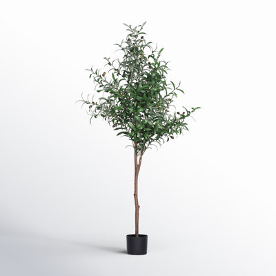 Faux Olive Tree Tree in Pot