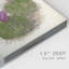 Cactus antique II - peinture sur toile tendue-1309131599