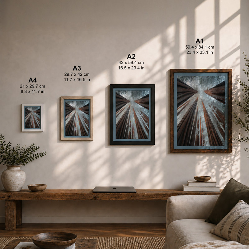 Towering Forest Canopy Scandinavian - Print, Walnut, A4 - 29.7 x 21.0 cm