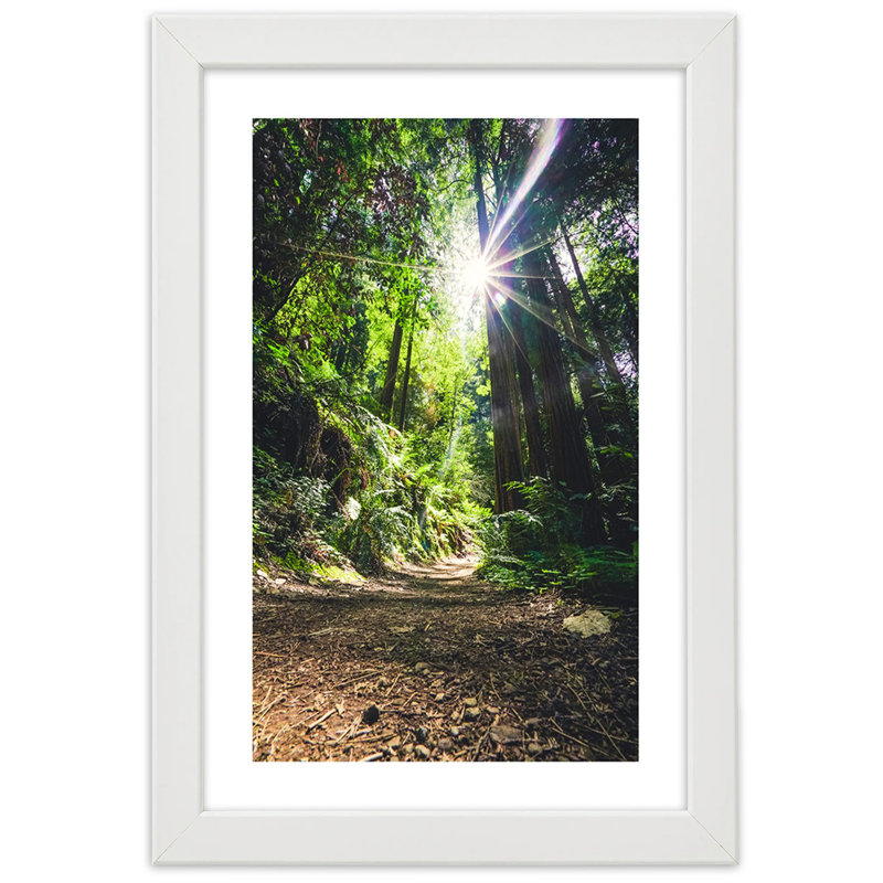Jungle Forest Nature Green - Single Picture Frame Print, White, 45cm H x 30cm W