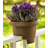 Classic Deck Rail Traditional Plastic Indoor/Outdoor Round Planter-219984320-219984321