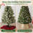 Plastic Tree Collar-137655581