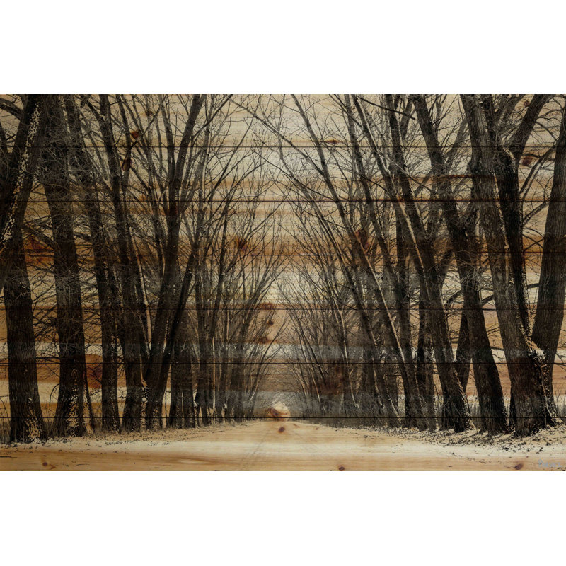 «Tree Path II» Parvez Taj - reproduction sur bois de pin naturel, H 12 po x l 18 po x P 1,5 po