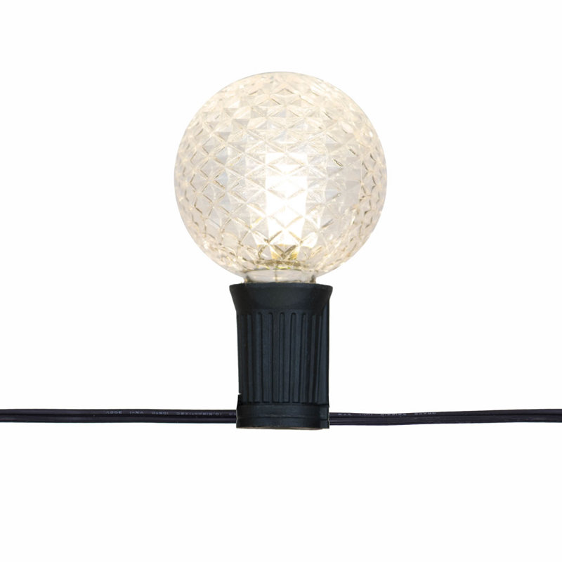 240'' String Lights