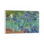 Irises, 1889 by Vincent Van Gogh - Floater Frame Painting on Canvas-1962374435-1962374437