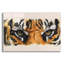«Eyecatching Tiger» par Barbara Keith - impression non encadrée-778270133
