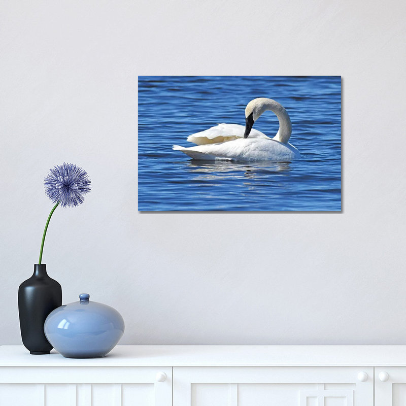 Rearranging by Brian Wolf - Wrapped Canvas Gallery-Wrapped Canvas Giclée, 30.48cm H x 45.72cm W