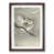 Walnut Framed