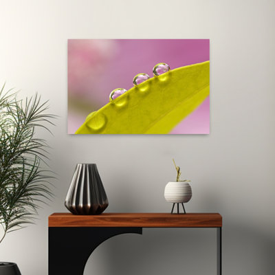 «Three Drops Delicate Minimalist Tranquil Nature Landscape Art»