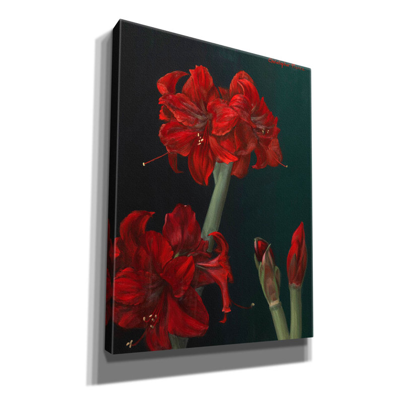 Toile rouge «Amaryllis Amigo» par Christopher Pierce, H 16 po x l 12 po x P 0,75 po