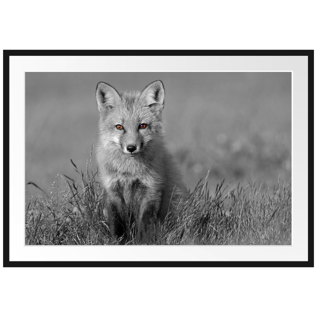 Gerahmtes Poster Kleiner süßer Fuchs auf Wiese