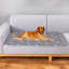 Tapis de dressage lavable anti-fuites super absorbant pour chien et chats 31,5 x 35,4 po-131216658