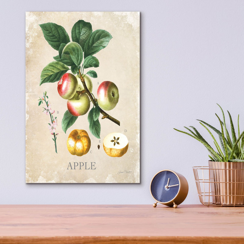 «Luscious Fruit Study D» par Jean Plout, art mural en verre acrylique, H 16 po x l 12 po x P 0,13 po