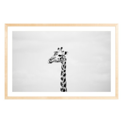 "Gerald" by Amanda Anderson