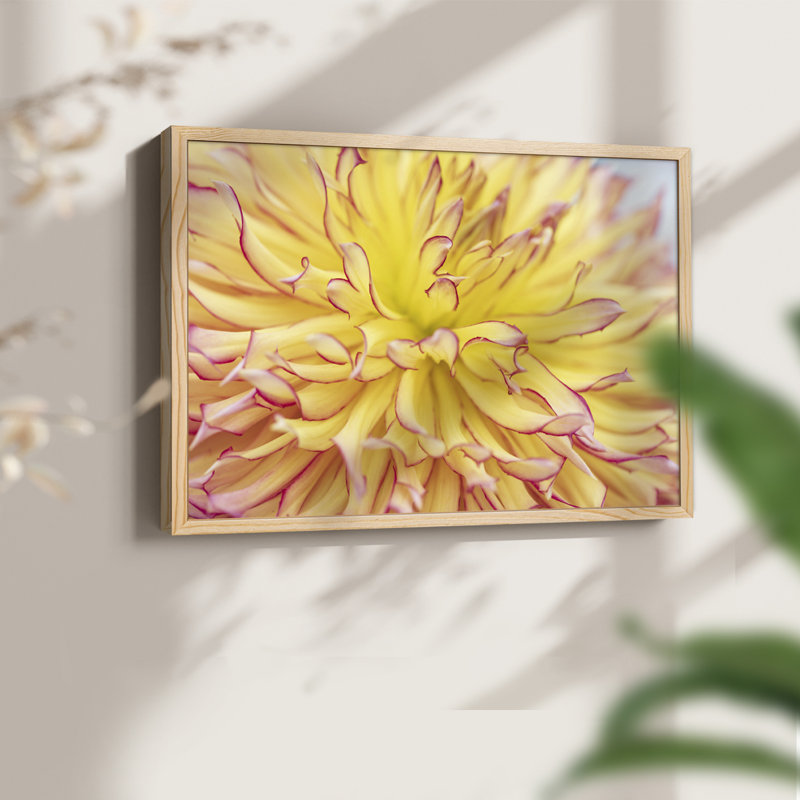 Blooms III - reproduction encadrée - réversible, H 11 po x l 14 po, Naturel