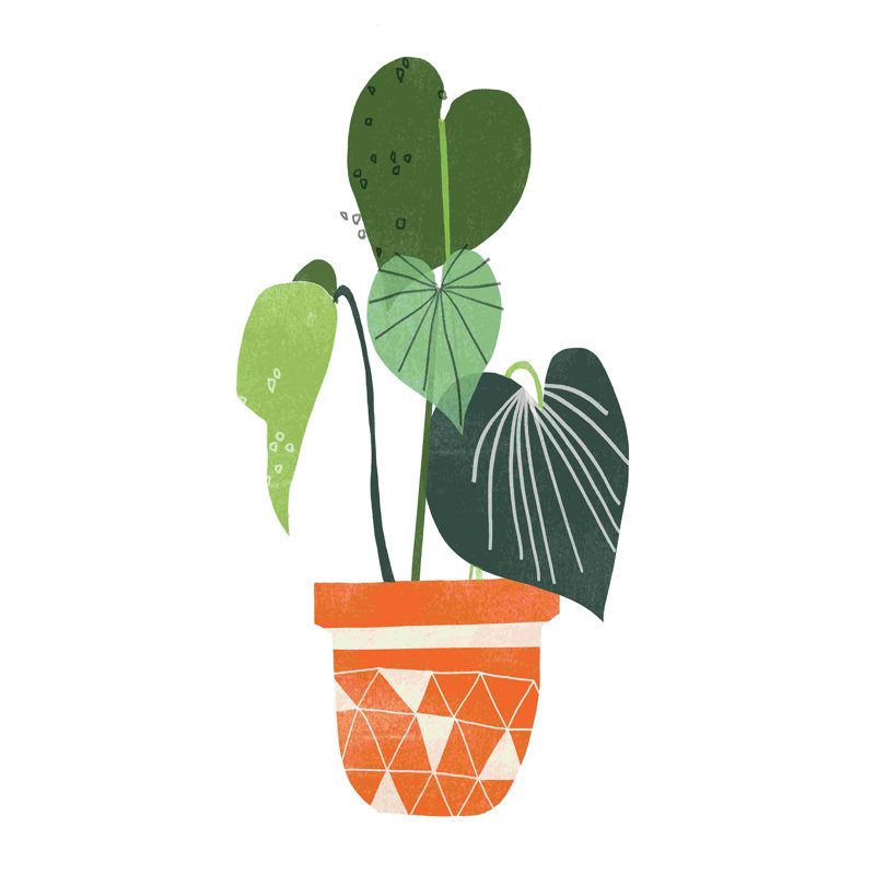 Happy Plants II, H 48 po x l 32 po