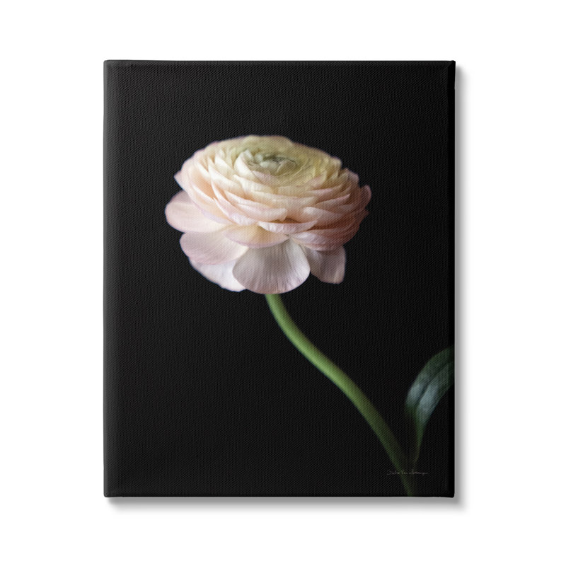«Stupell Industries», art mural sur toile noire par Debra Van Swearingen, H 48 po x l 36 po x P 1,5 po, Toile tendue