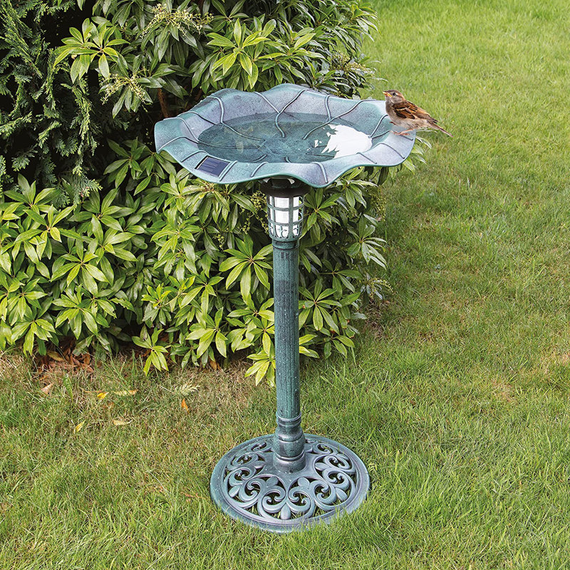Plastic / Acrylic Single Tier Birdbath