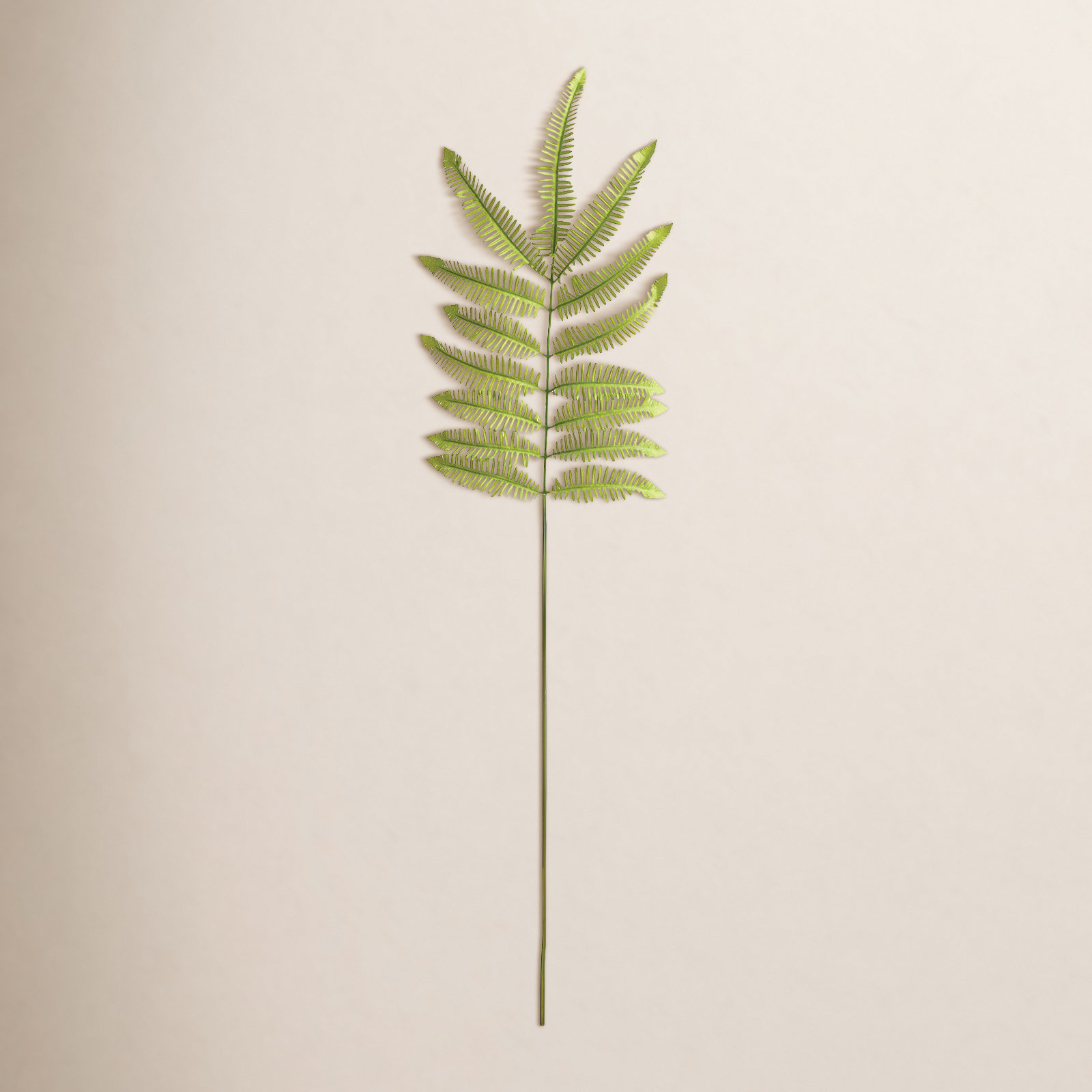 Tree Fern Floral Stems