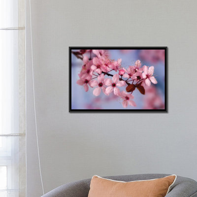 «Cherry Blossoms in Zoom» par Don Paulson, reproduction sur toile tendue sur châssis