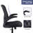 Ishwaq Task Chair