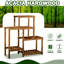 Plant Stand - Set of 5