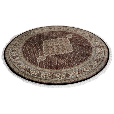 Kasonya Oriental Area Rug in Black