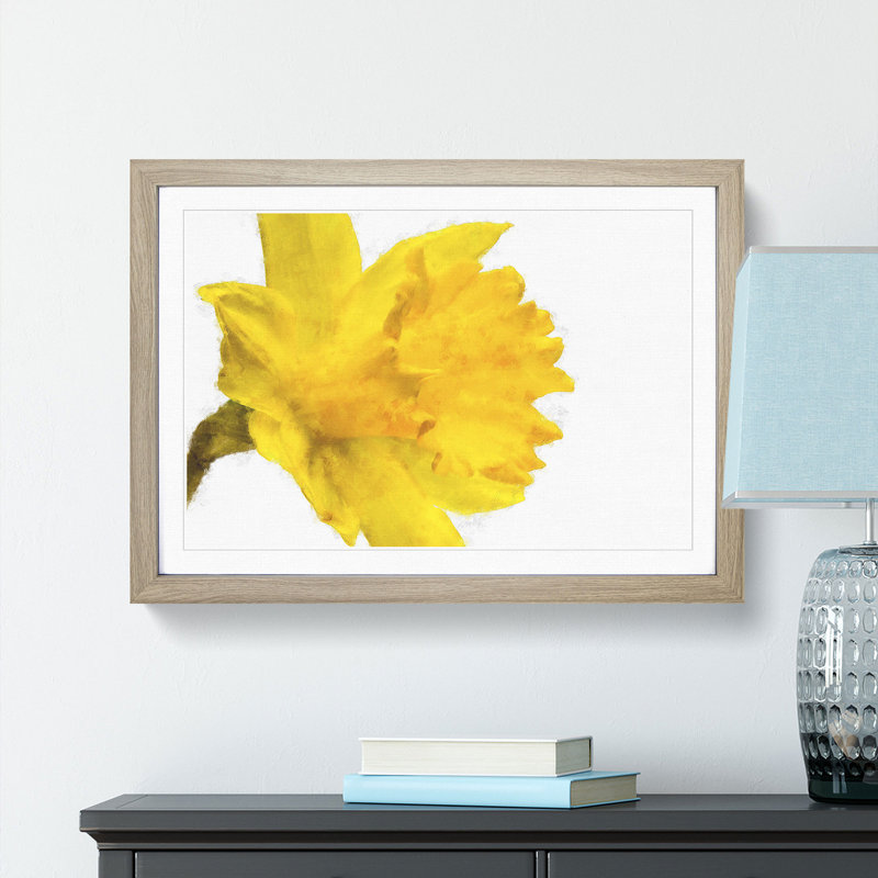 Sole Yellow Daffodil - Picture Frame Painting Print, Oak Framed, 24cm H x 33cm W x 2cm D
