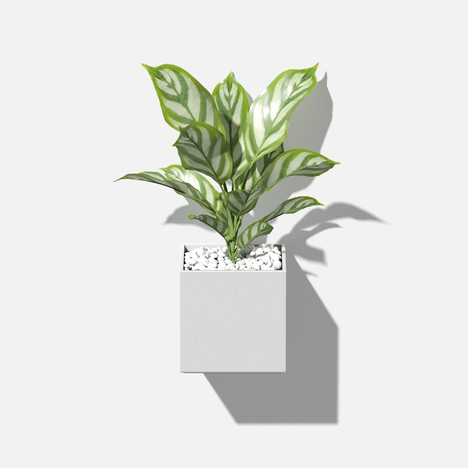 Geo Series 5" Wall Planter, White, Set Of 1