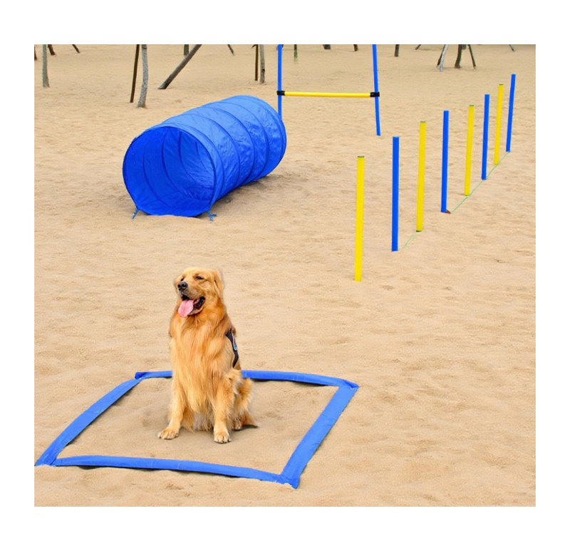 Polyester bleu pour chien