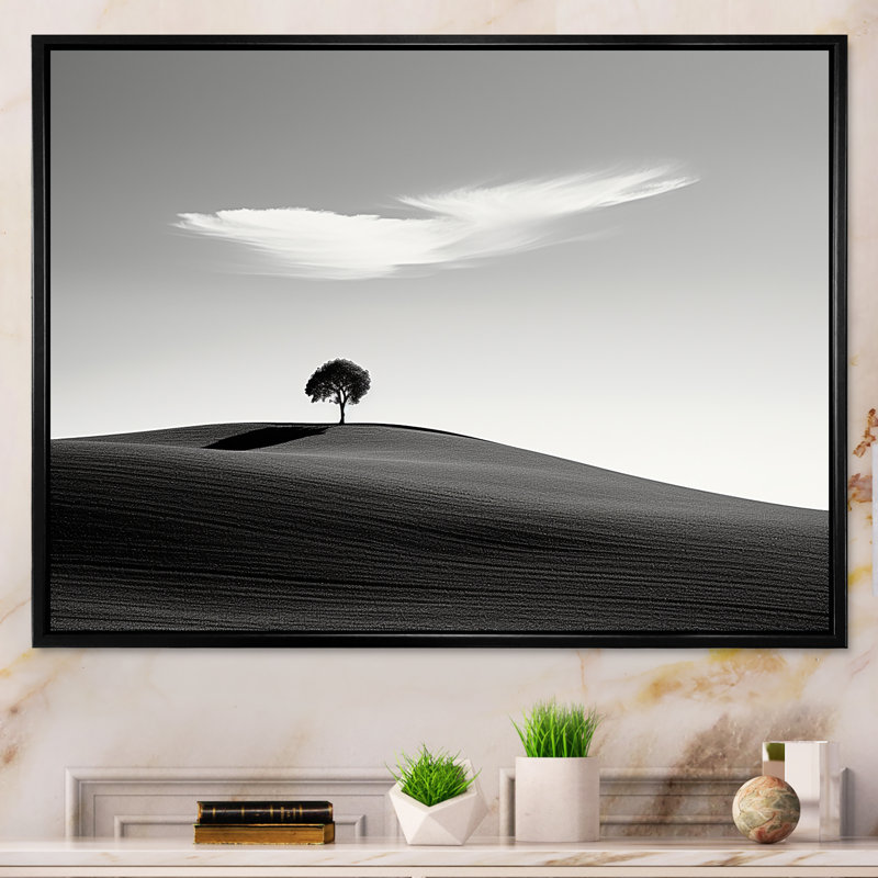 «Balck and White Solitude Tree III - Canyon and Desert», art mural sur toile, Cadre flottant noir, H 12 po x l 20 po x P 1 po