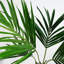 Faux Palm Plant in Pot Liner-88980144