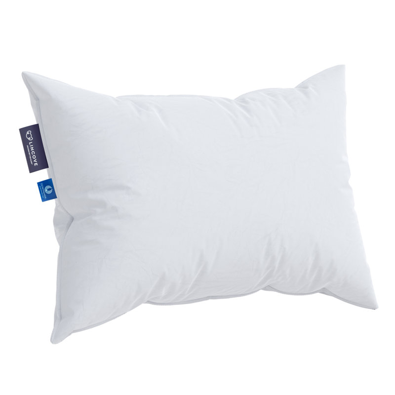 Oreiller en duvet nuage canadien , Standard