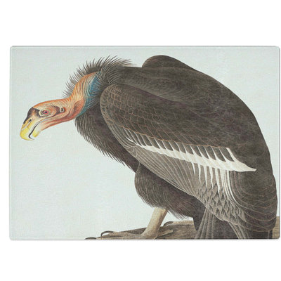 Tempered Glass Californian Vulture Chopping Board