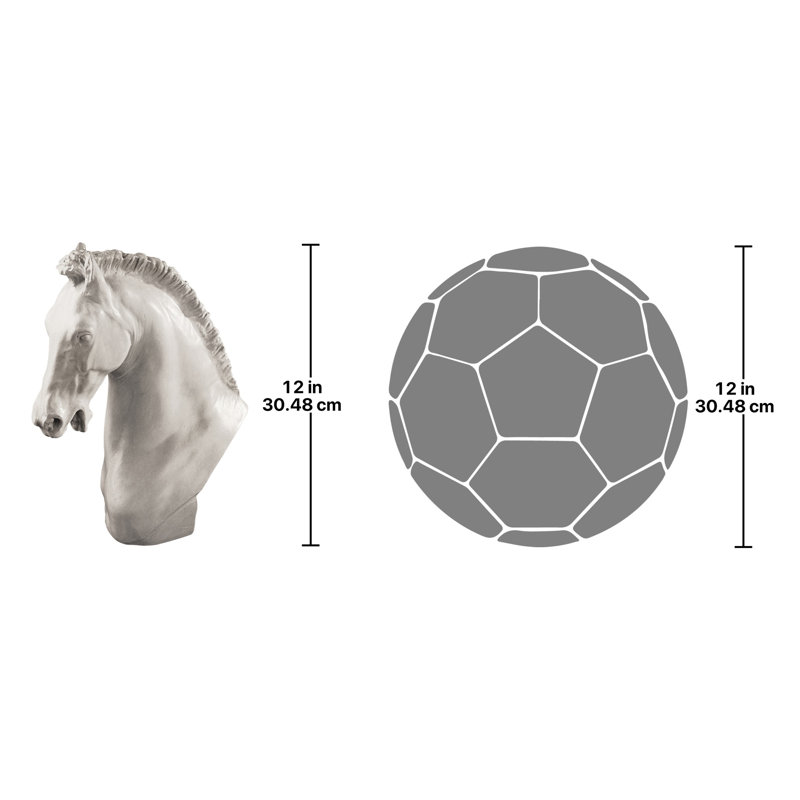 Cheval de buste Turino