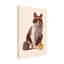 Chat sur tennis, reproduction sur toile