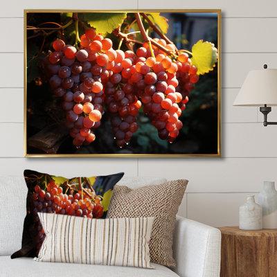 Scenic Vineyard Golden Harvest