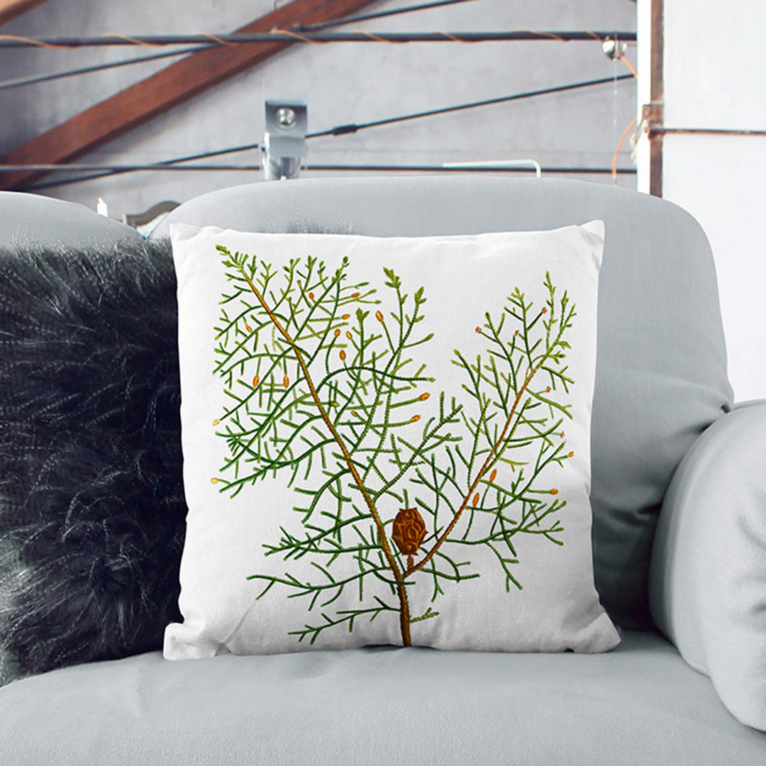 Chinese Weeping Cypress by Pierre-Joseph Redoute Cushion with Filling