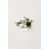Vert et beige est en rupture de stock