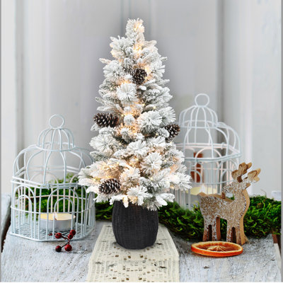 Lighted Christmas Tree