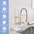 DORNBERG Pull Down Spray Kitchen Faucet-96873541