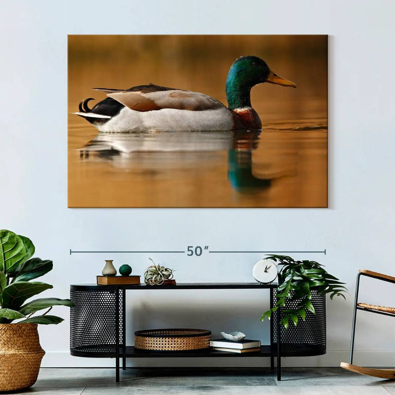 Brampt Bathing Mallard Duck, 34" H x 51" W