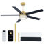 Ventilateur de plafond à DEL 52 po à pales réversibles d'intérieur en cristal doré avec télécommande et tige verticale incluse, pales deux tons-787728126