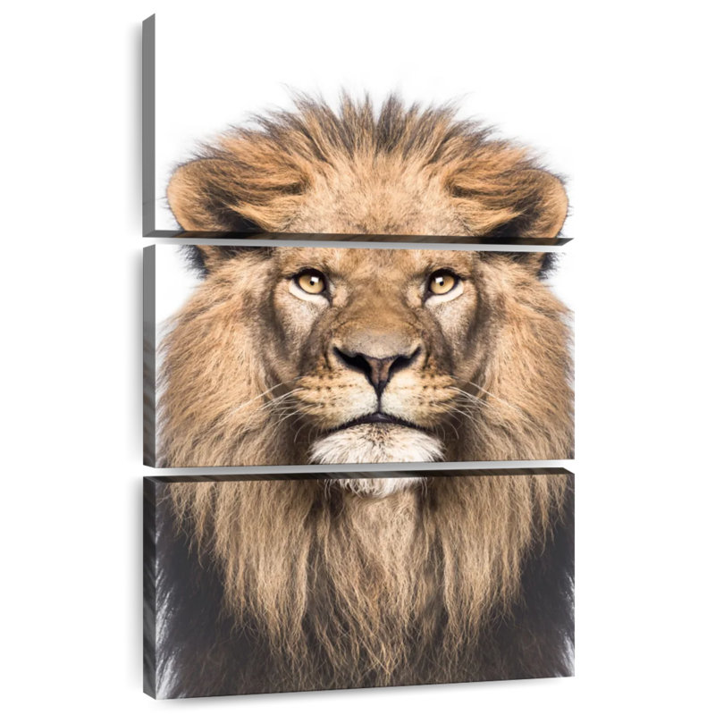 Noble lion Brampt, H 65 po x l 42 po