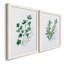 Freshly Picked I - Ensemble de 2 peintures sur toile encadrées-1667209248-1667209259