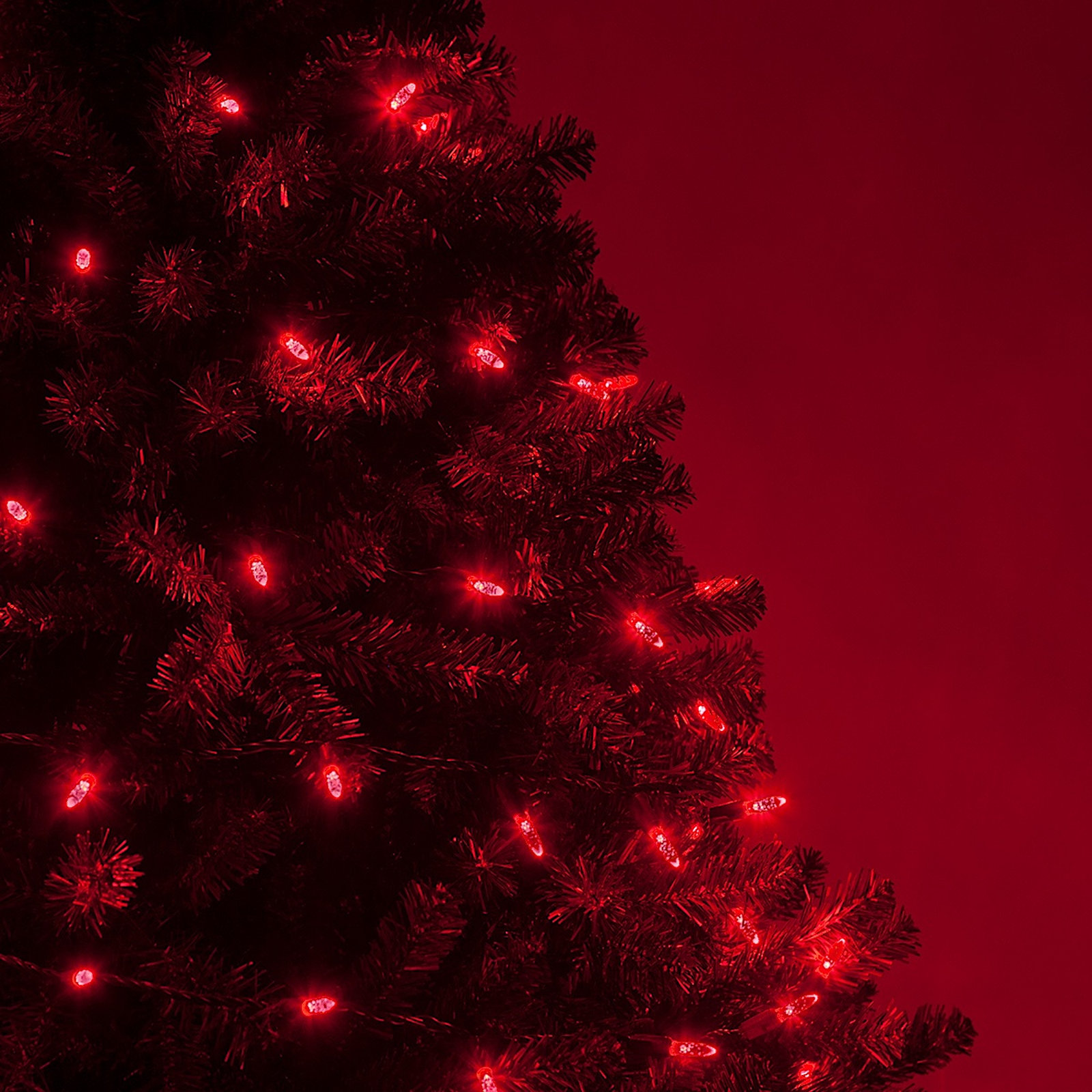 24' 70-Light LED Christmas String Lights, Red