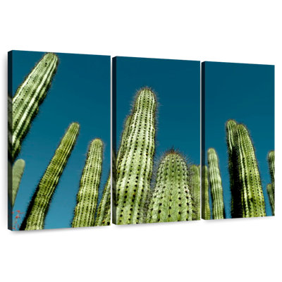 Harnek Blue Sky Cactus